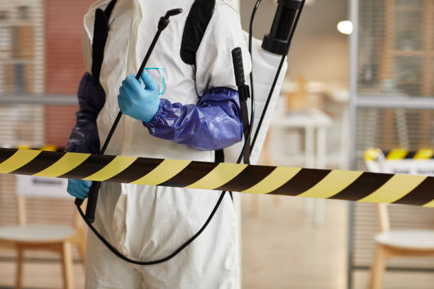 Professional Sewage Cleanup technician working in Ithaca, MI